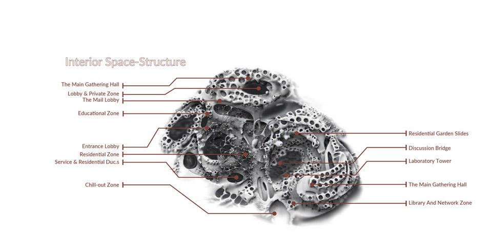 topology